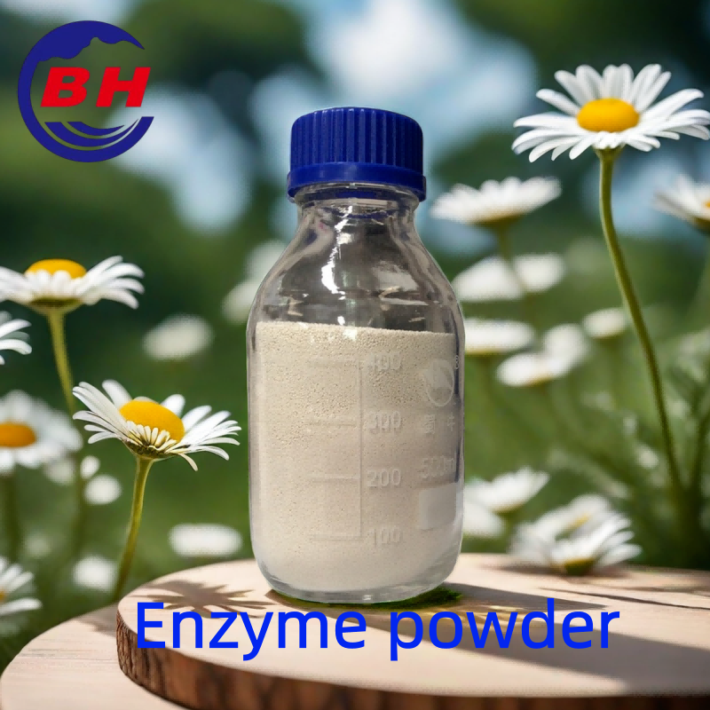 Enzymový prášek H8808