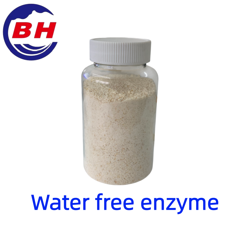 Bezvodý enzym H8811